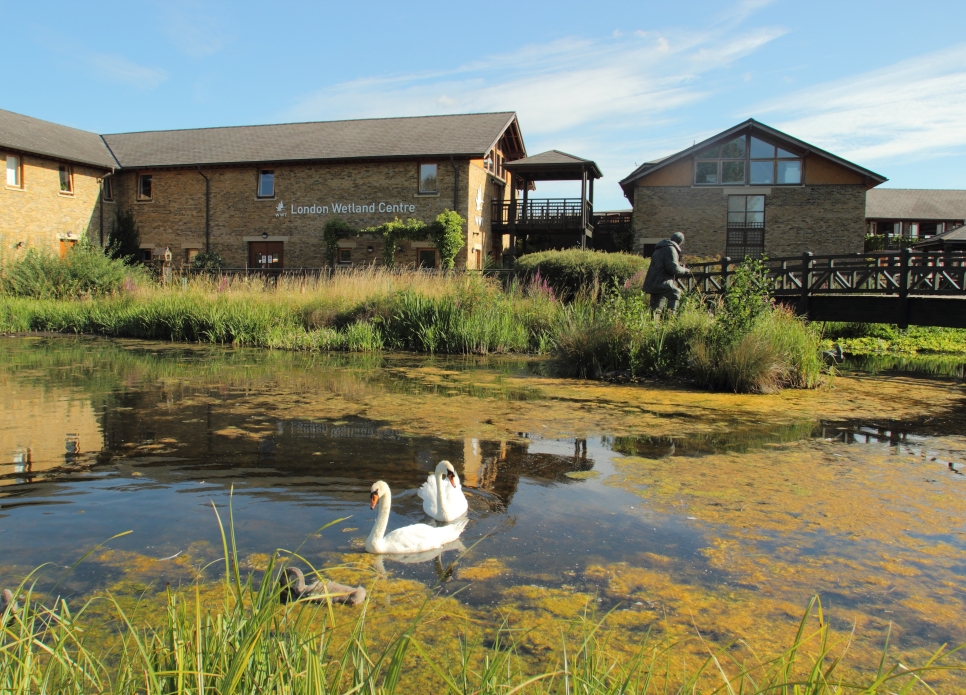 5 New Installations at London Wetland Centre 